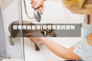 疫情传染宠物(疫情家里的宠物)
