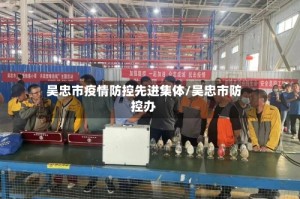 吴忠市疫情防控先进集体/吴忠市防控办