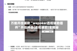 万能开挂辅助“wepoker透视辅助插件”开挂神器{透视辅助}全揭秘