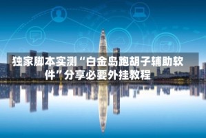 独家脚本实测“白金岛跑胡子辅助软件”分享必要外挂教程