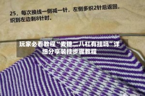 玩家必看教程“麦穗二八杠有挂吗”详细分享装挂步骤教程
