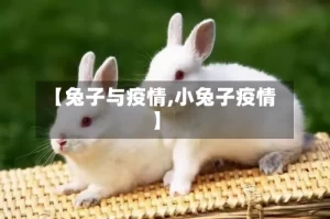 【兔子与疫情,小兔子疫情】