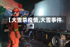 【大雪杀疫情,大雪事件】