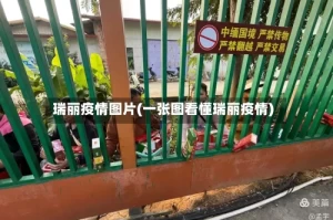 瑞丽疫情图片(一张图看懂瑞丽疫情)