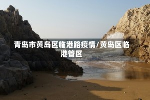青岛市黄岛区临港路疫情/黄岛区临港管区