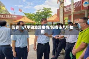 阳春市八甲镇澄洞疫情/阳春市八甲地图