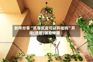 软件分享“贰零贰壹可以开挂吗”开挂(透视)辅助神器