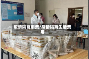 疫情隔离消费/疫情隔离生活费用