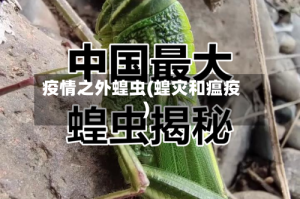 疫情之外蝗虫(蝗灾和瘟疫)