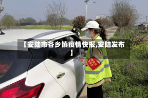 【安陆市各乡镇疫情快报,安陆发布】