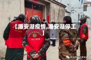 【潘安湖疫情,潘安湖停工】