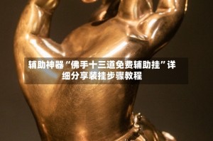 辅助神器“佛手十三道免费辅助挂”详细分享装挂步骤教程