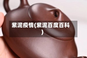 紫泥疫情(紫泥百度百科)