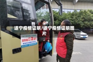 遂宁疫情证明/遂宁疫情证明图片