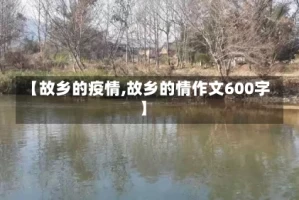 【故乡的疫情,故乡的情作文600字】