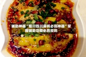 辅助神器“蜀川四川麻将必赢神器”掌握辅助功能必胜规则