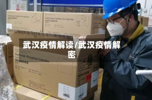 武汉疫情解读/武汉疫情解密