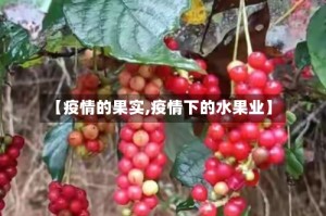 【疫情的果实,疫情下的水果业】