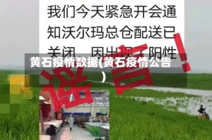 黄石疫情数据(黄石疫情公告)