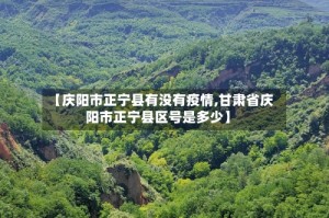 【庆阳市正宁县有没有疫情,甘肃省庆阳市正宁县区号是多少】