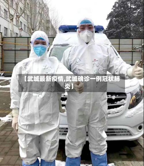 【武城最新疫情,武城确诊一例冠状肺炎】-第1张图片