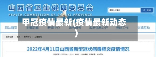 甲冠疫情最新(疫情最新动态)-第2张图片