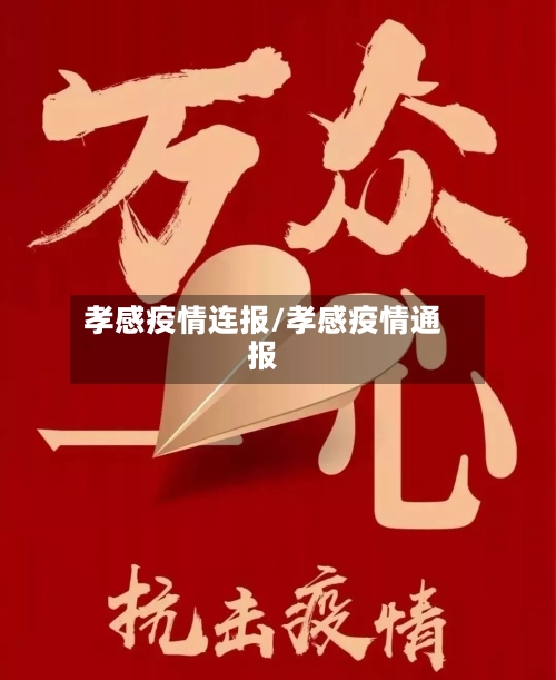 孝感疫情连报/孝感疫情通报-第2张图片