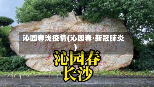 沁园春浅疫情(沁园春·新冠肺炎)-第1张图片