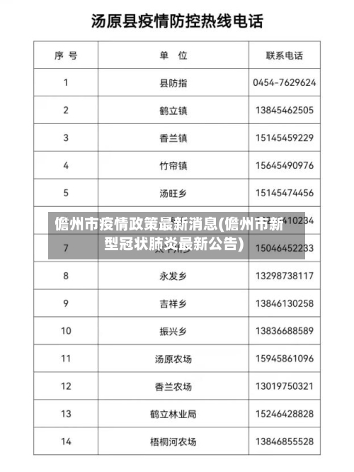 儋州市疫情政策最新消息(儋州市新型冠状肺炎最新公告)-第2张图片