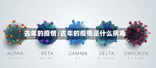 去年的疫情/去年的疫情是什么病毒-第1张图片