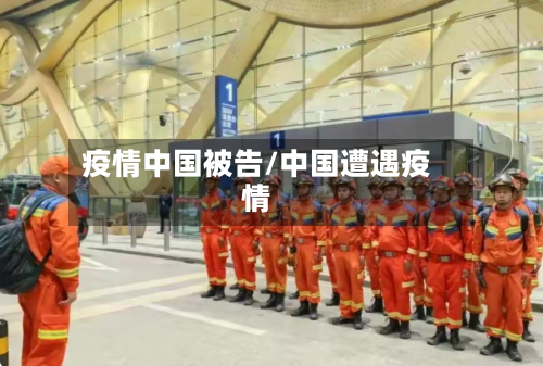 疫情中国被告/中国遭遇疫情-第1张图片