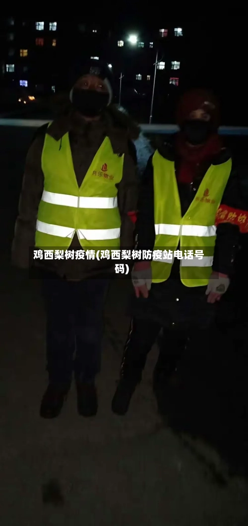 鸡西梨树疫情(鸡西梨树防疫站电话号码)-第3张图片