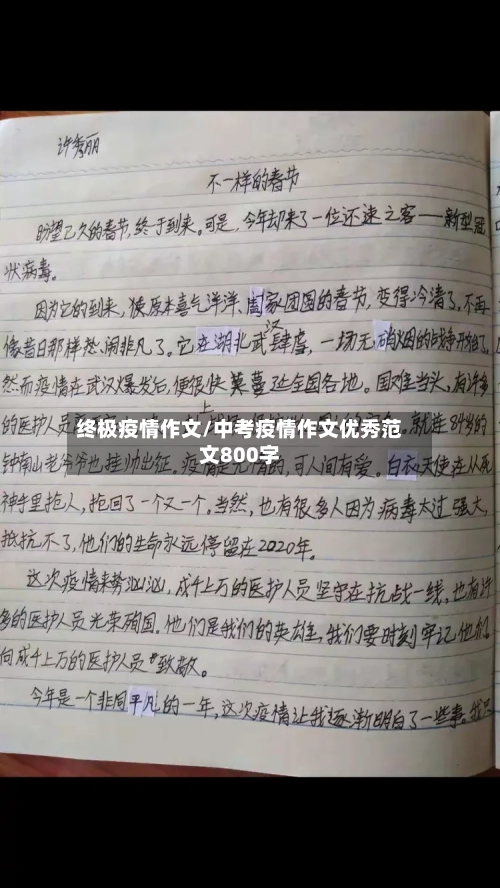 终极疫情作文/中考疫情作文优秀范文800字-第2张图片