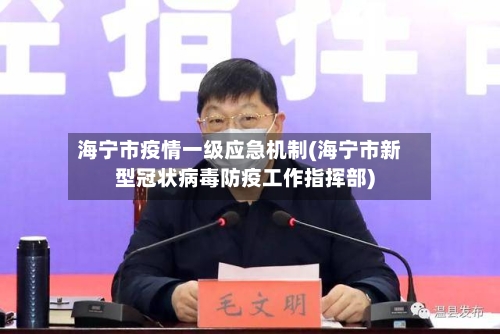 海宁市疫情一级应急机制(海宁市新型冠状病毒防疫工作指挥部)-第1张图片