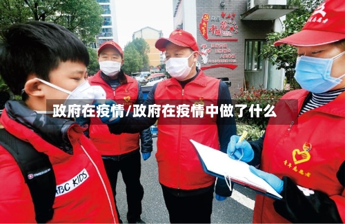 政府在疫情/政府在疫情中做了什么-第2张图片