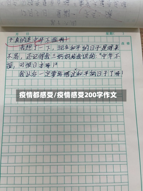 疫情都感受/疫情感受200字作文-第1张图片