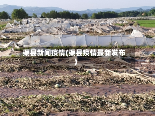 渠县新闻疫情(渠县疫情最新发布)-第2张图片