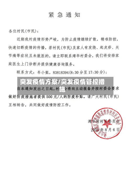 突发疫情方案/突发疫情管控措施-第3张图片
