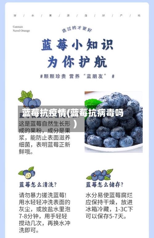 蓝莓抗疫情(蓝莓抗病毒吗)-第2张图片