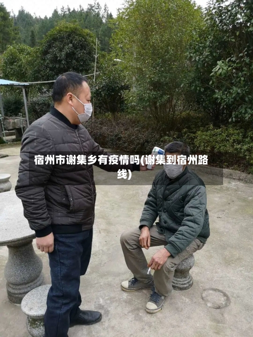 宿州市谢集乡有疫情吗(谢集到宿州路线)-第1张图片