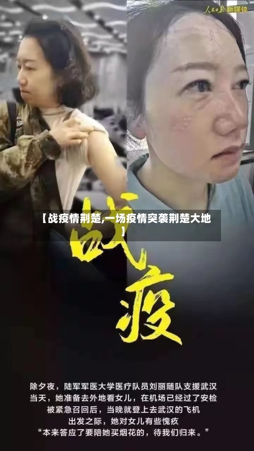 【战疫情荆楚,一场疫情突袭荆楚大地】-第2张图片