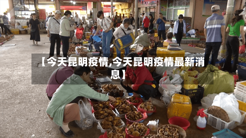 【今天昆明疫情,今天昆明疫情最新消息】-第3张图片