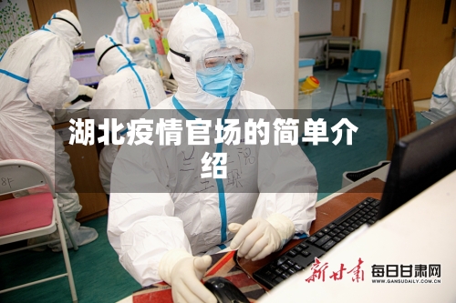 湖北疫情官场的简单介绍-第2张图片