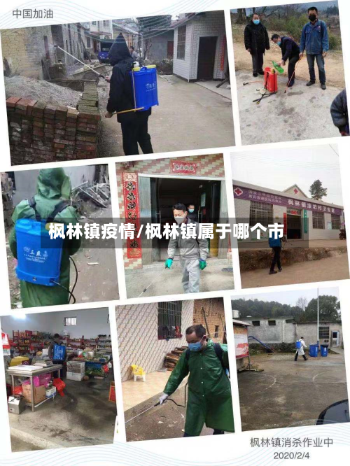 枫林镇疫情/枫林镇属于哪个市-第2张图片