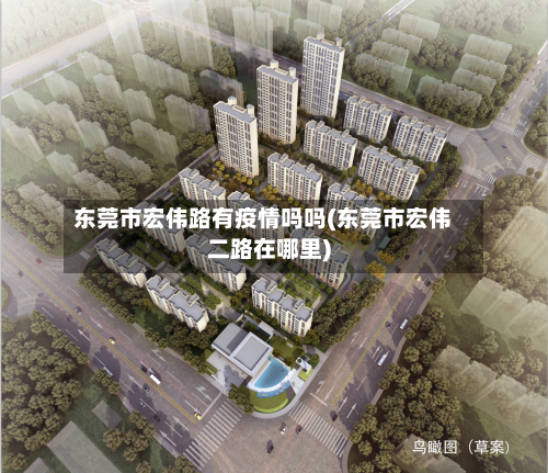 东莞市宏伟路有疫情吗吗(东莞市宏伟二路在哪里)-第3张图片