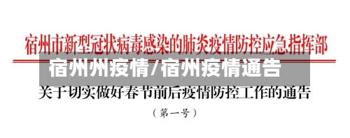 宿州州疫情/宿州疫情通告-第2张图片