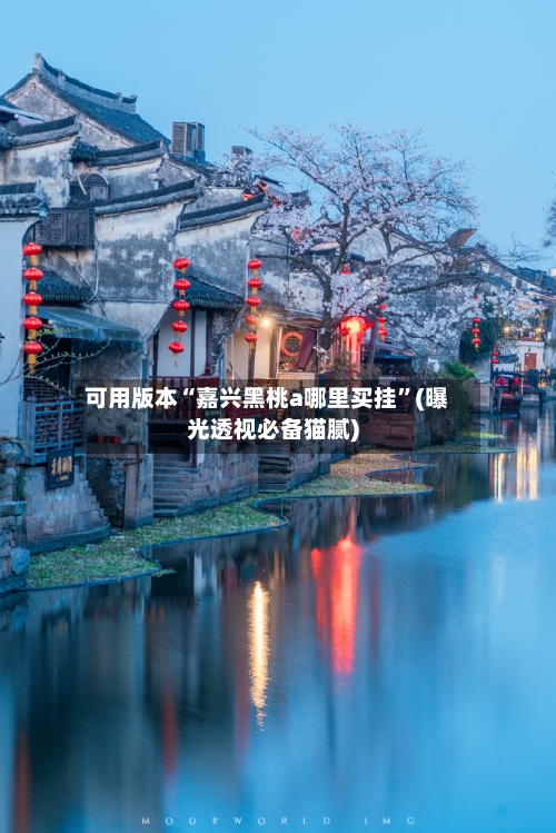 可用版本“嘉兴黑桃a哪里买挂”(曝光透视必备猫腻)-第1张图片