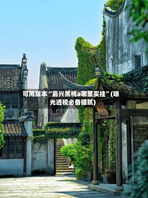 可用版本“嘉兴黑桃a哪里买挂	”(曝光透视必备猫腻)-第2张图片