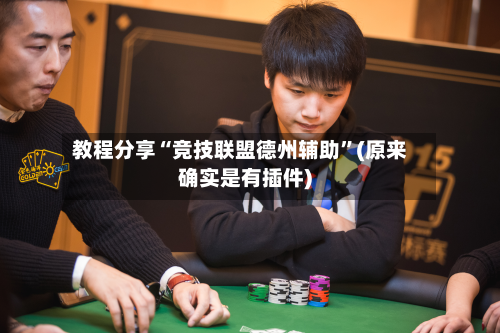 教程分享“竞技联盟德州辅助”(原来确实是有插件)-第2张图片