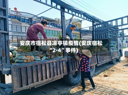 安庆市宿松县凉亭镇疫情(安庆宿松“2·4”事件)-第1张图片